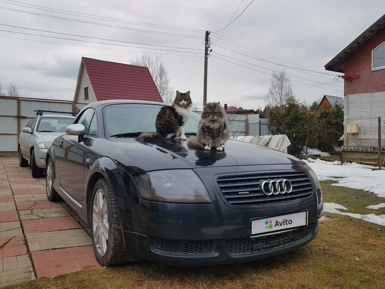 Audi TT: фото владельца