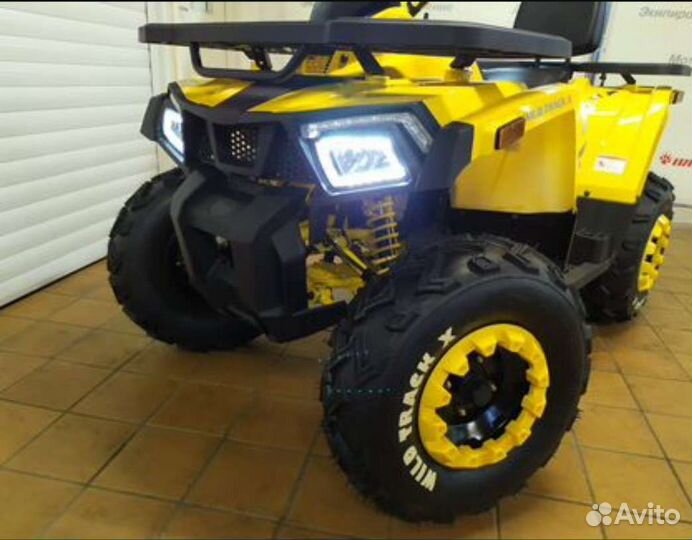 Wild. 200-X. Новые