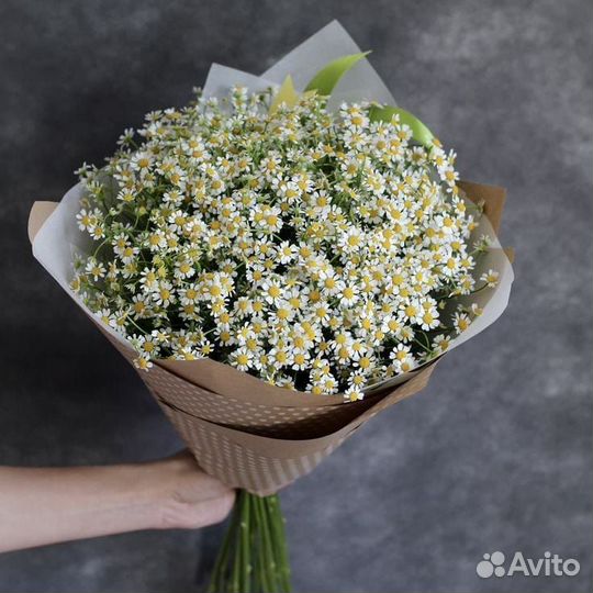 Букеты из ромашек