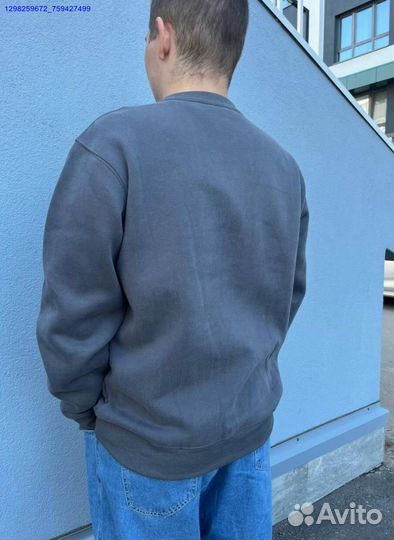 Свитшот Arcteryx серый (Арт.25273)