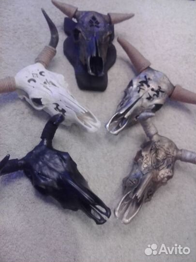 Коллекция черепов