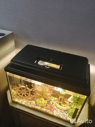 Аквариум