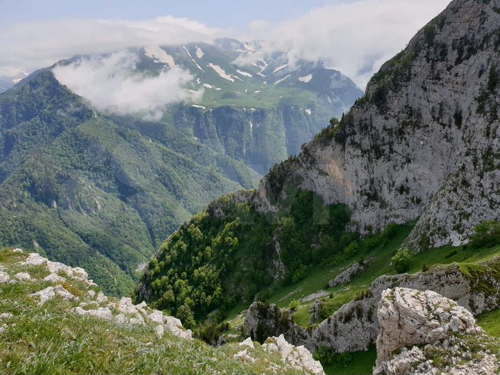 Участок 1,4 га (СНТ, ДНП)