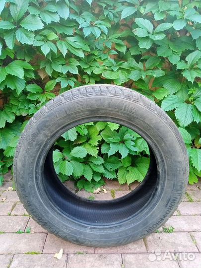 Gislaved NordFrost 100 195/70 R16 91T