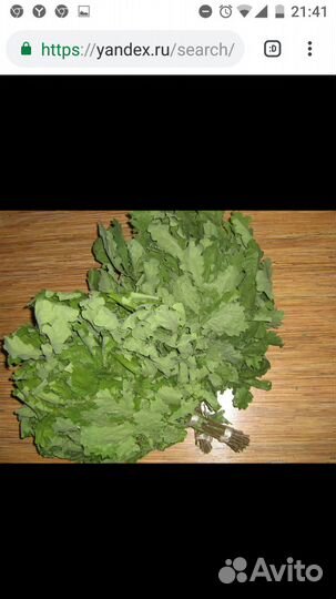 Продам венники березовые