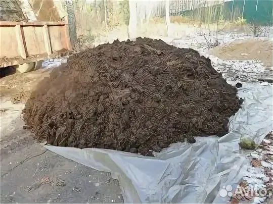 Перегной коровий