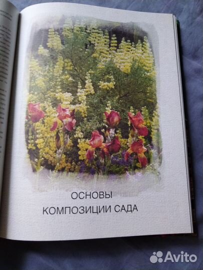 Книга Ландшафтный дизайн сада