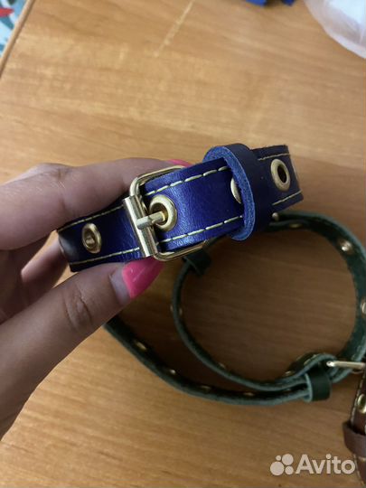 Ошейник для собак