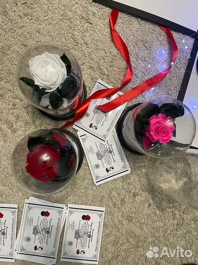 Розовая роза в колбе