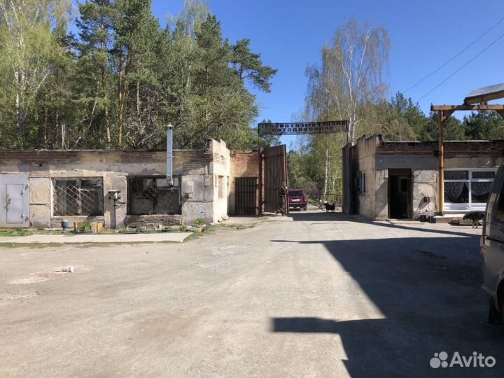 Охранник сторож вахтер