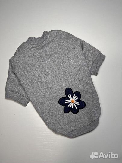 Майки и худи для собак