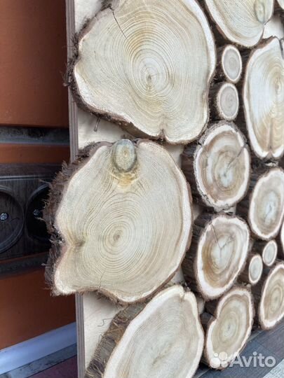 Панно из можжевельника