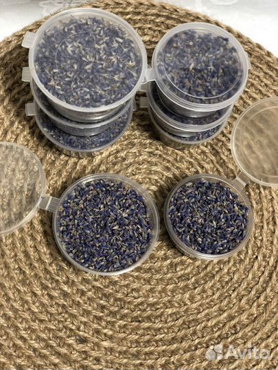 Лаванда россыпь