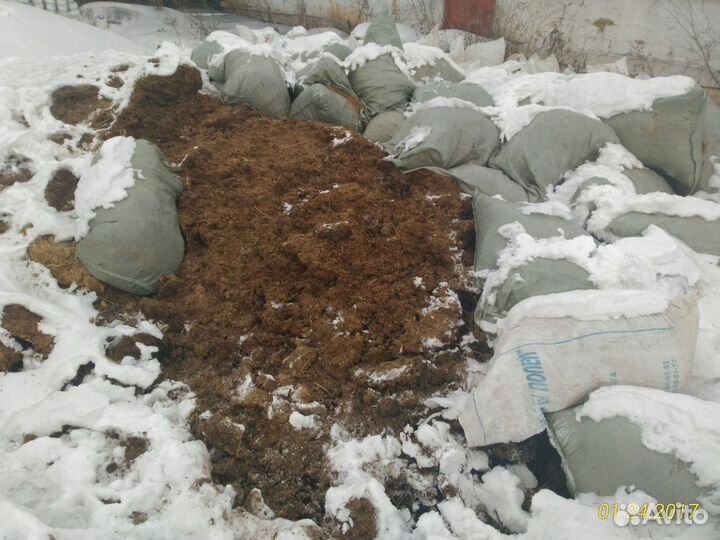 Навоз Конский