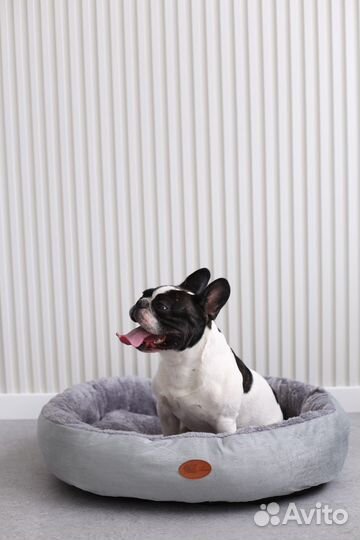 Лежанка для животных