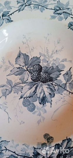 Антикварная тарелка villeroy Boch, серия ежевика