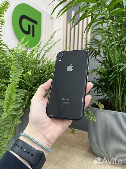 iPhone Xr, 256 ГБ