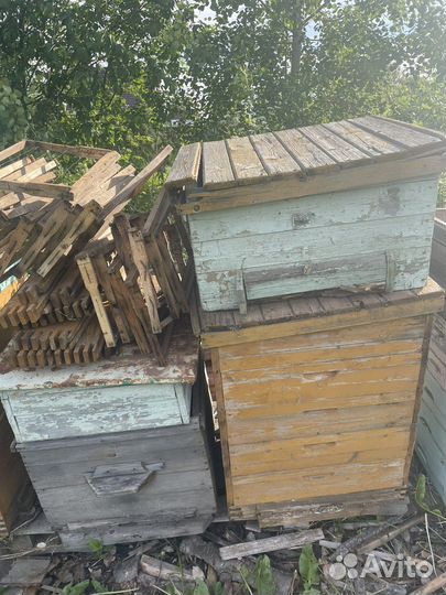 Ульи для пчел