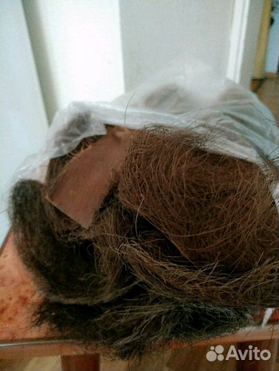 Природный материал для поделок