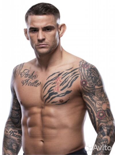 Дастин Порье автограф на металле в рамке подарок