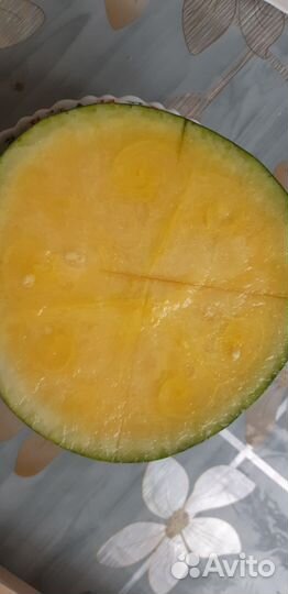 Семена арбуза