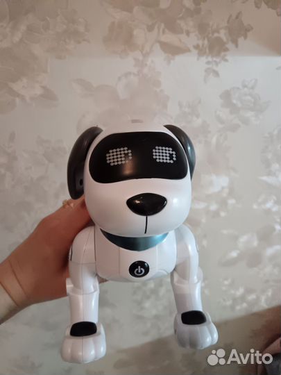 Собака на пульте управления