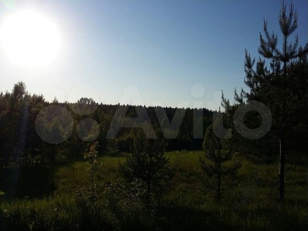 Участок 10 га (СНТ, ДНП)