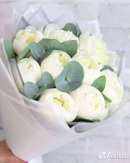 Пионы Букет пионов