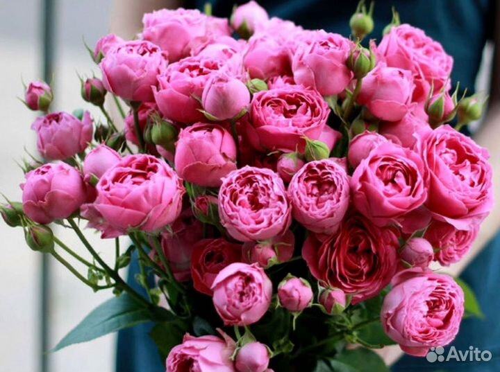Букет пионовидных роз