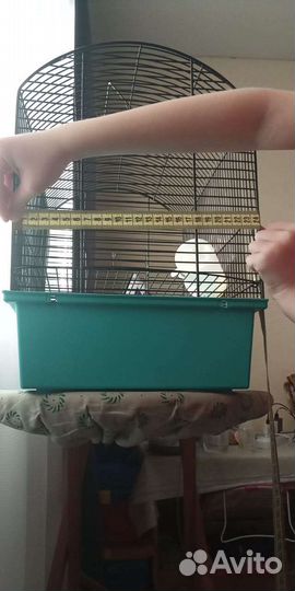 Клетка для грызунов