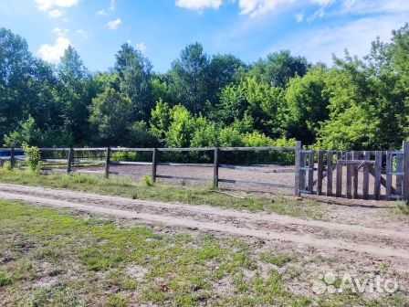 Постой для лошадей