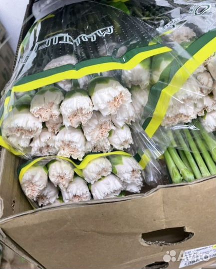 Гвоздика оптом