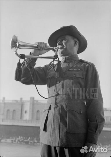 Горн Бенгальского улана. Английская кавалерия