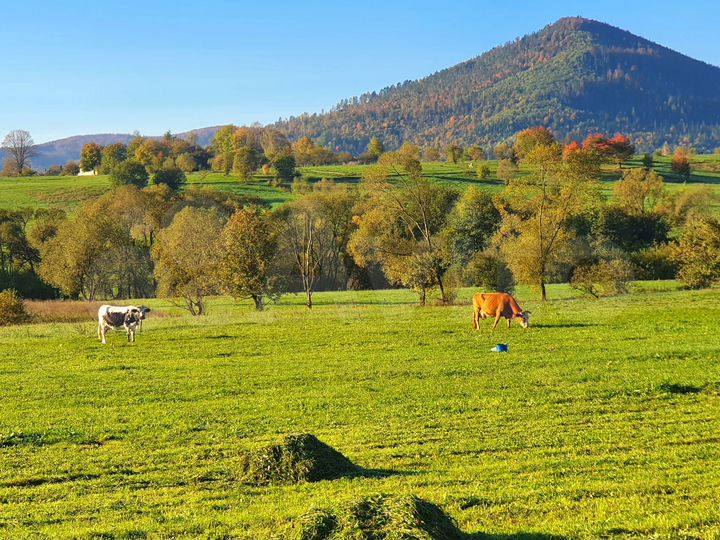 Участок 100 сот. (СНТ, ДНП)