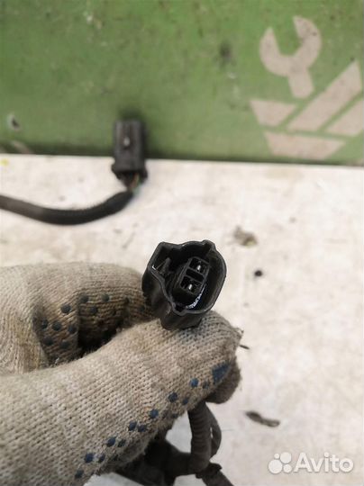 Проводка (коса) Форд Фокус 2