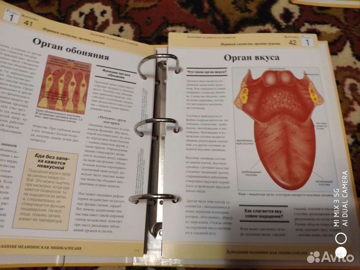 Домашняя медицинская энциклопедия