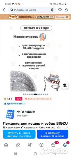 Лежанка