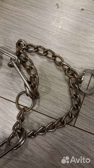 Строгий ошейник для собак