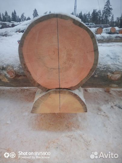 Изготовление срубов из Карельской сосны Kelo