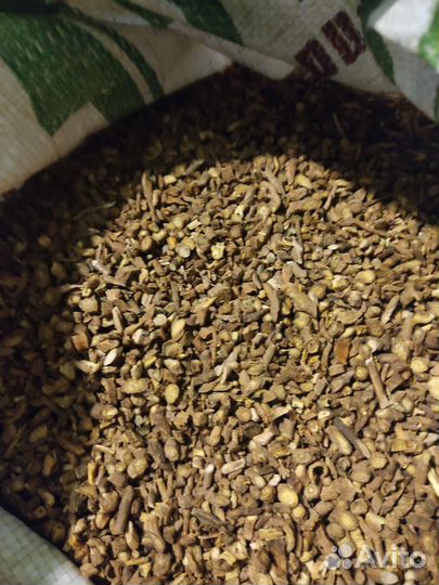 Шлемник байкайльский для омоложения