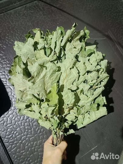 Отправка веников на север