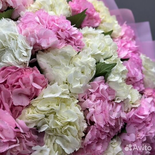 Букет из гортензий / Букет гортензия