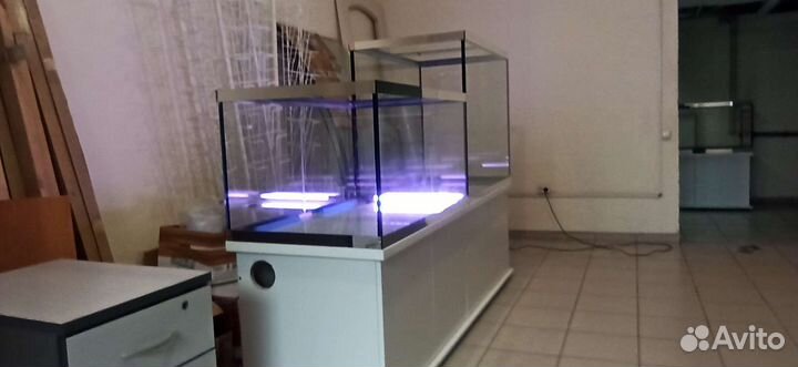 Аквариумный комплекс торговли рыбой раками комплек