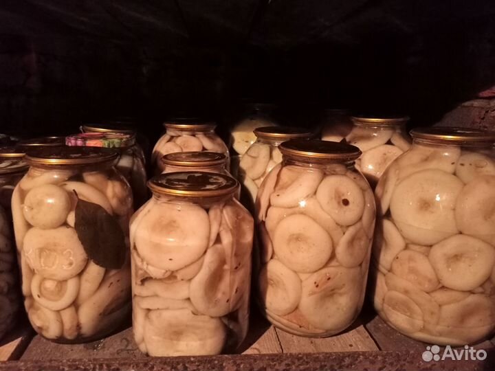 Грибы белые грузди маринованные