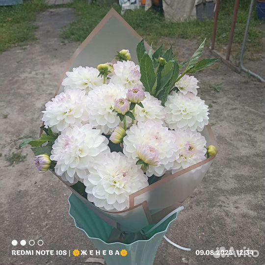 Живые цветы букеты