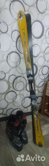 Горные лыжи