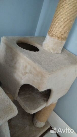 Когтеточка