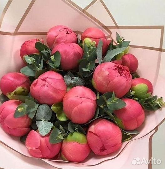 Пионы Розы Доставка