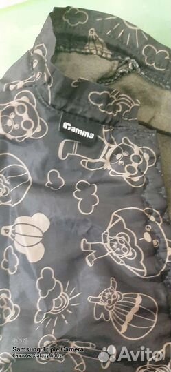 Одежда для маленьких собак