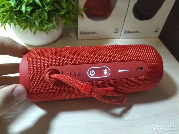 Колонка JBL flip 6